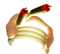 Slinkylinks RCA interconnect